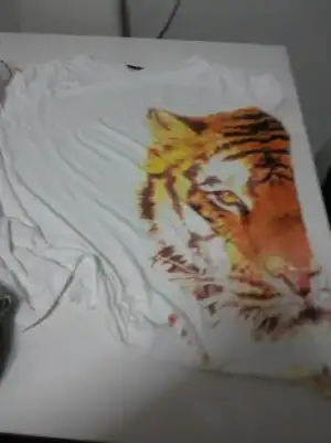 tshirt.webp