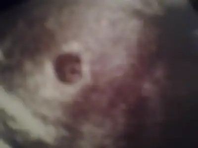 $23052011269.webp