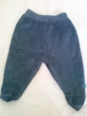 CAM00428.webp CAM00428.webp