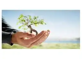 images7UJ0G3PP.webp