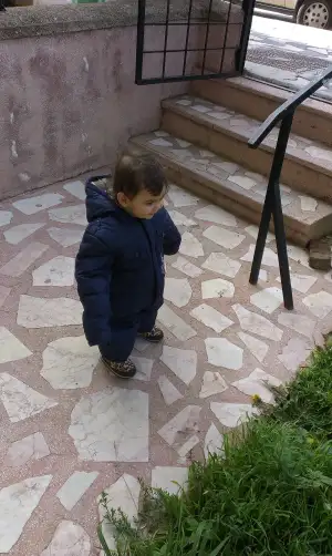 IMAG1431.webp