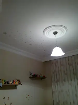2012-08-03-768.webp
