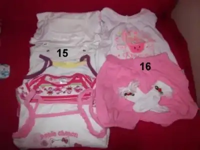 100_6810.webp