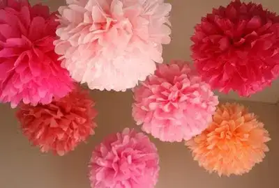 Pink pom poms.webp