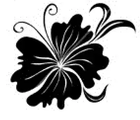 $set-of-black-flower-design-elements-set-vector-842345.webp