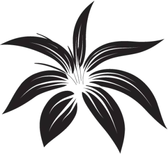 $14074941.webp