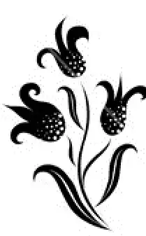 $set-of-black-flower-design-elements-set-vector-842341.webp