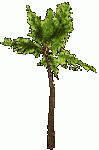 $arbol2.gif