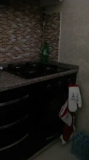 IMAG0100.webp