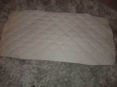 DSCN8469.webp