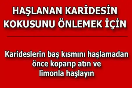 af3d1efb9e1601442d0dd25be346dbad_k.webp