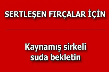 b89f0f986305eca6db63ee097e819e3d_k.webp