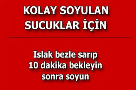 b946cd9768e19b2cbd7fdd37428be9fe_k.webp