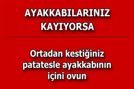 c5e9b96b125e5b8465582f57ae5fe6f2_k.webp