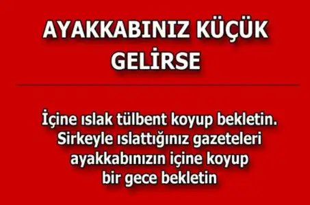 cbdcce300b881199644ad8d62fd15f1c_k.webp