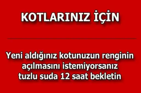 d5207206cceedd33c74a4a62ff9914d5_k.webp
