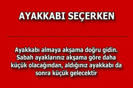 efa47b467fb39e49473c2fd07310873c_k.webp
