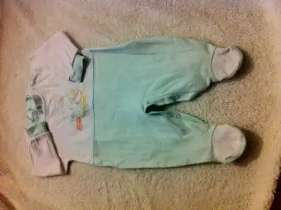 image.webp