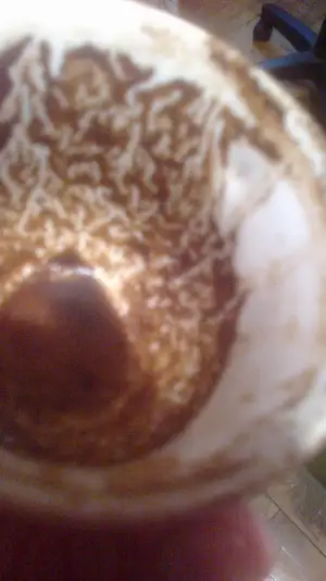 2014-11-08-1850.webp