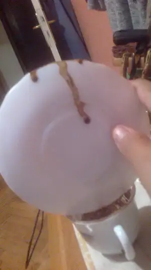 2014-11-08-1852.webp
