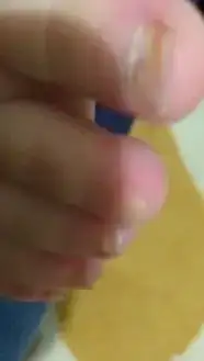 1907280_10152822678944561_8117322031124798463_n+.webp