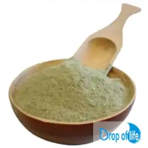 GMM-500x500.webp