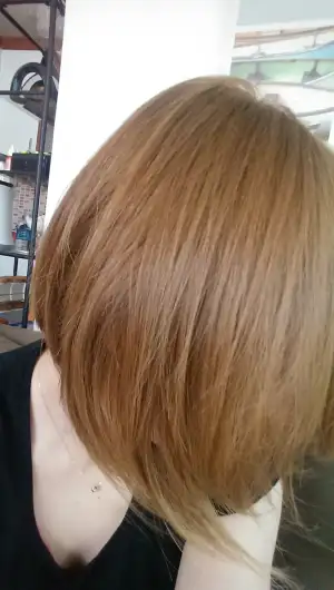 IMAG0275.webp