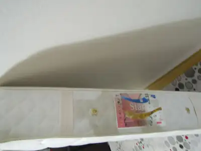 DSCN8497.webp