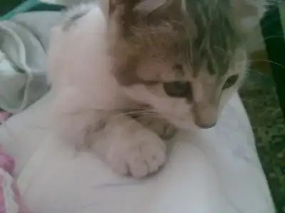 $03062011240.webp
