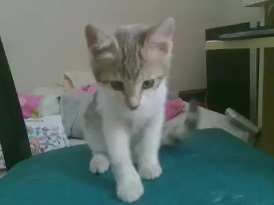 $03062011238.webp