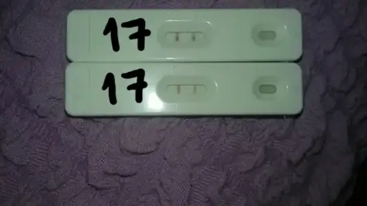 2014-11-20 13.01.37.webp