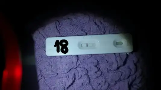 2014-11-20 13.02.46.webp