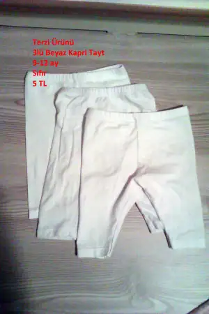 IMAG0846.webp