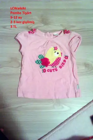 IMAG0852.webp
