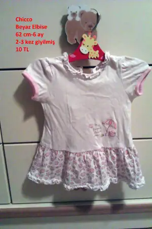 IMAG0854.webp