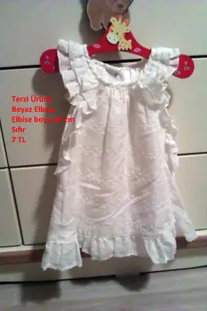 IMAG0865.webp