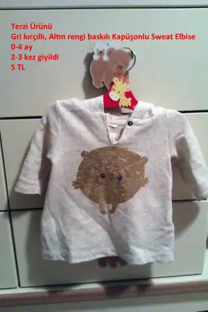 IMAG0869.webp