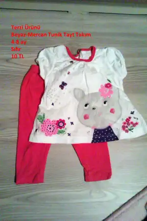 IMAG0871.webp