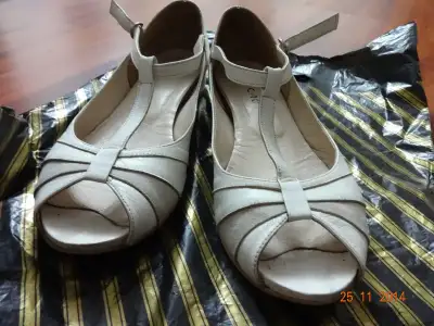 DSC01552.webp