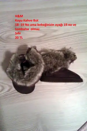 IMAG0909.webp