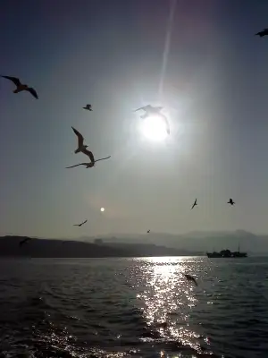 DSC00767.webp