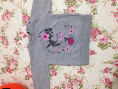 image.webp
