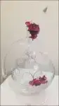 893616-9f2c797977c87e4d47ca80676c2cf5d4.webp