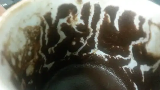082.webp