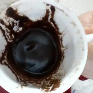 134946348-cup-base.webp