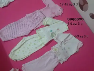 CAM00668.webp