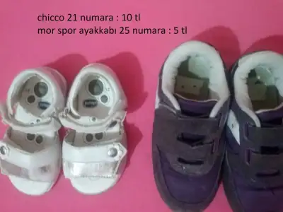 CAM00681.webp