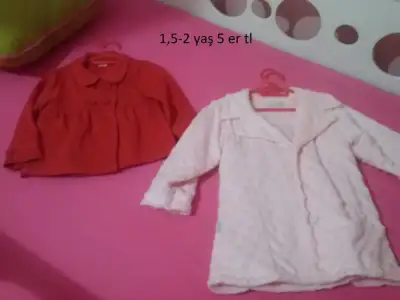 CAM00684.webp