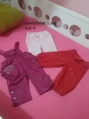 CAM00660.webp