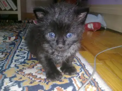 $04102010016.webp